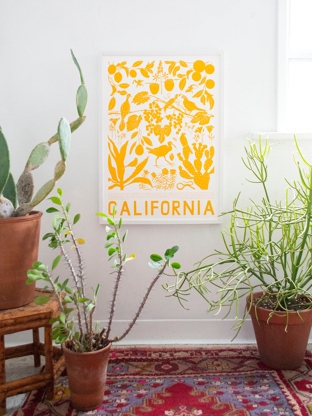 California Screen Print with cacti and other plants and animals